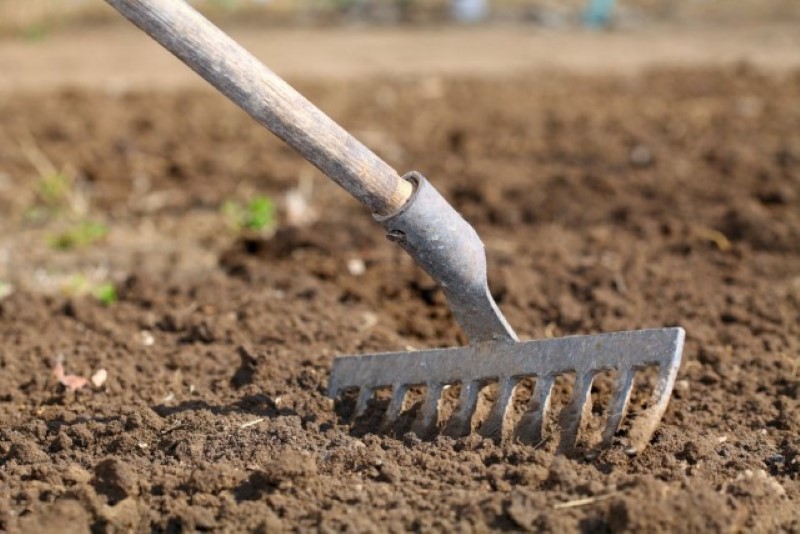 Регулярное пропалывание и рыхление почвы помогут поддерживать оптимальные условия для роста растений 7